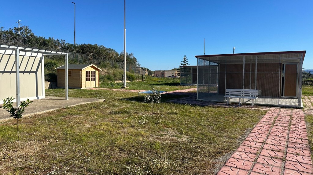 oasi felina d'emergenza