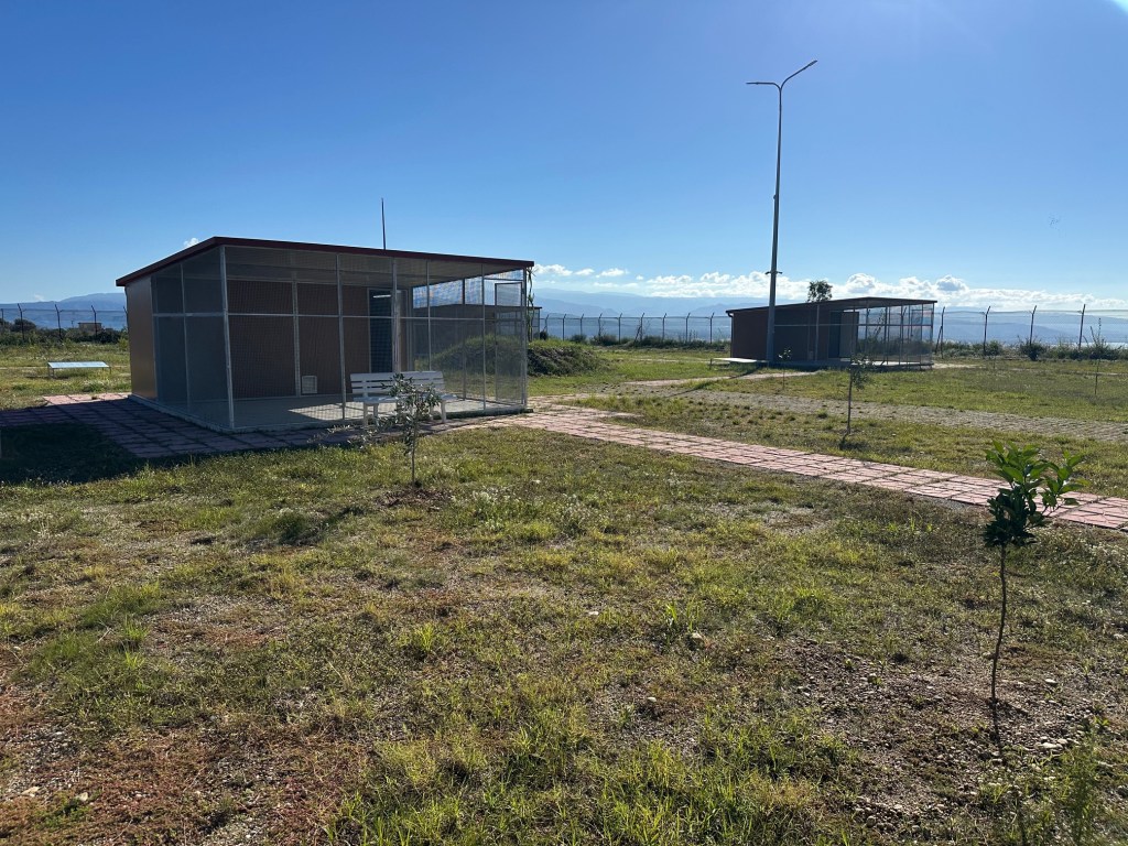 oasi felina d'emergenza