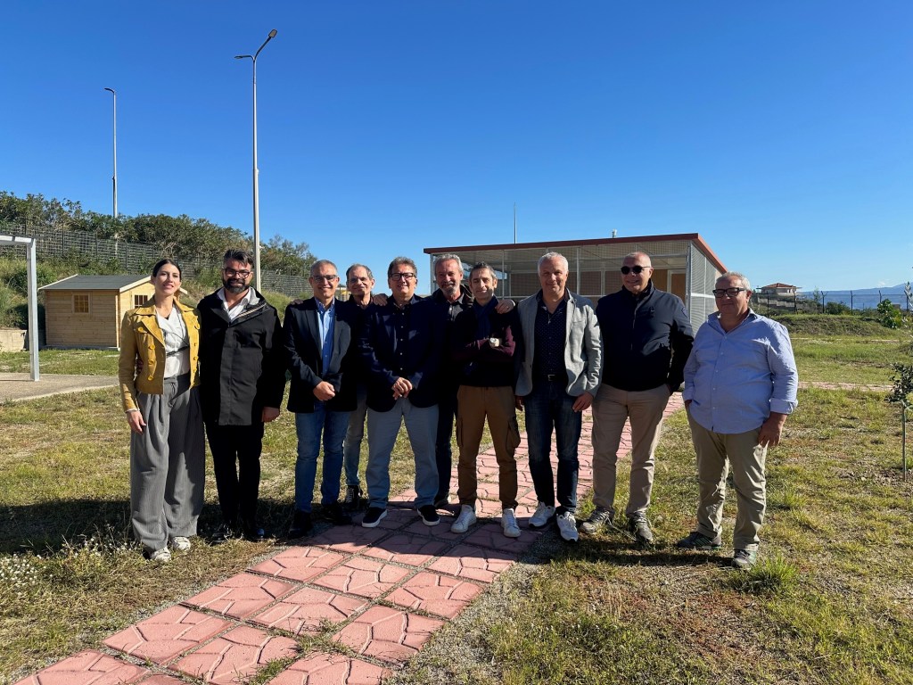 oasi felina d'emergenza