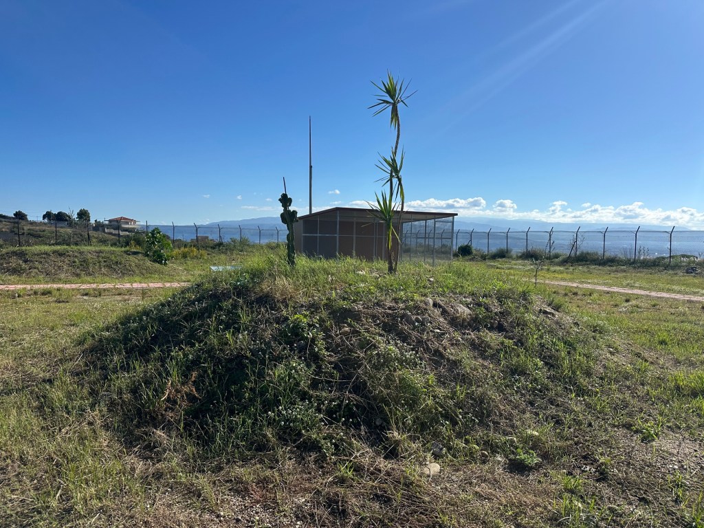 oasi felina d'emergenza