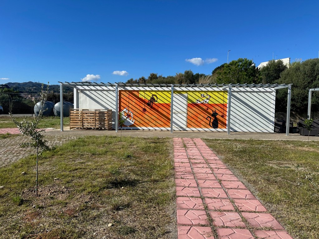 oasi felina d'emergenza