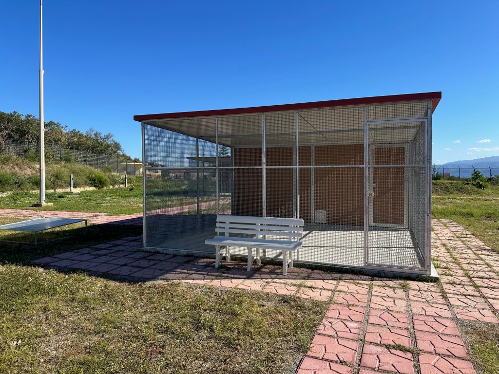 oasi felina d'emergenza