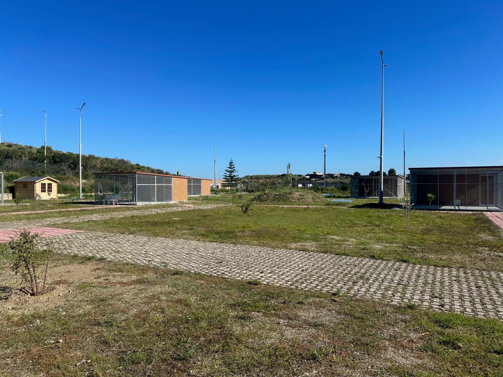 oasi felina d'emergenza