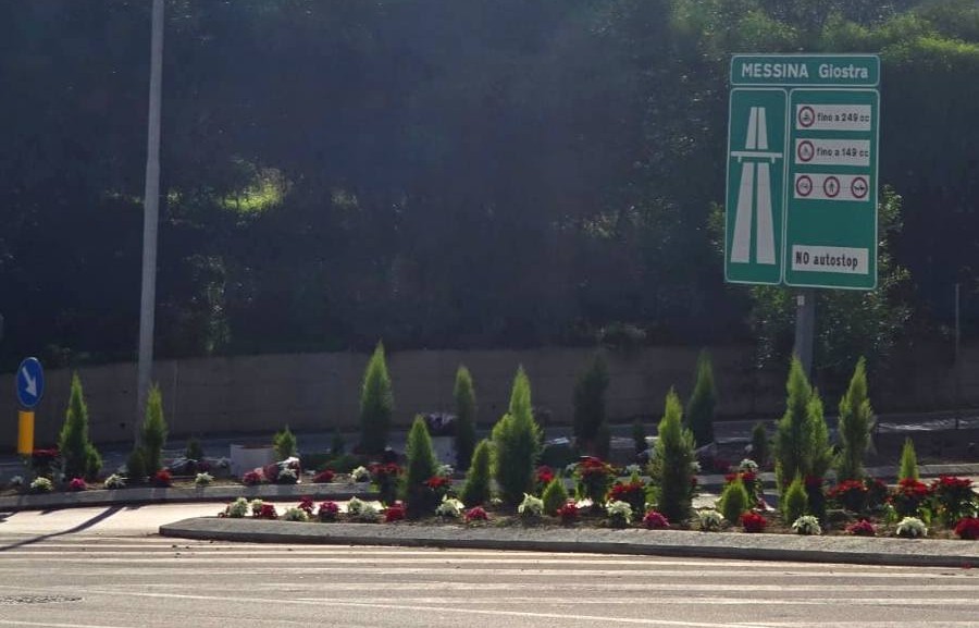 Stelle di Natale e cipressi negli svincoli