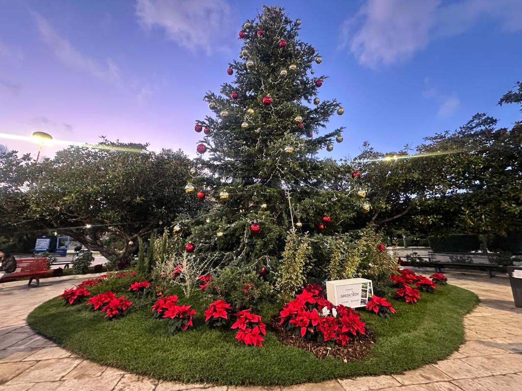 Natale 2025 a Palazzo Zanca