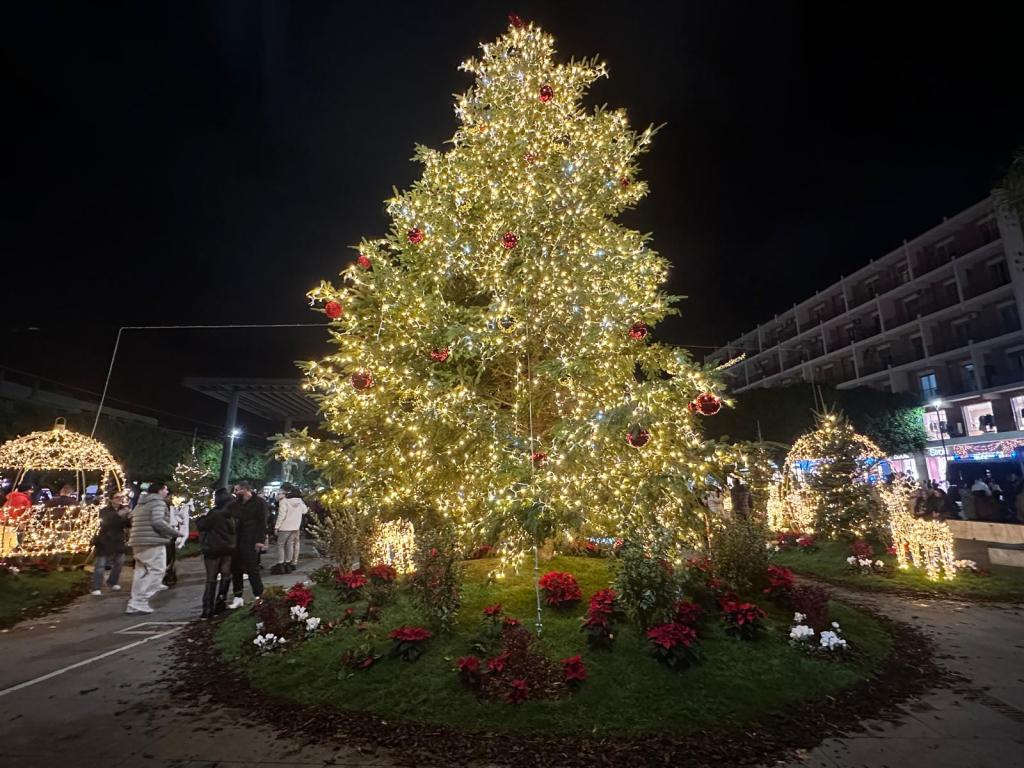 Albero di piazza Cairoli Natale 2025