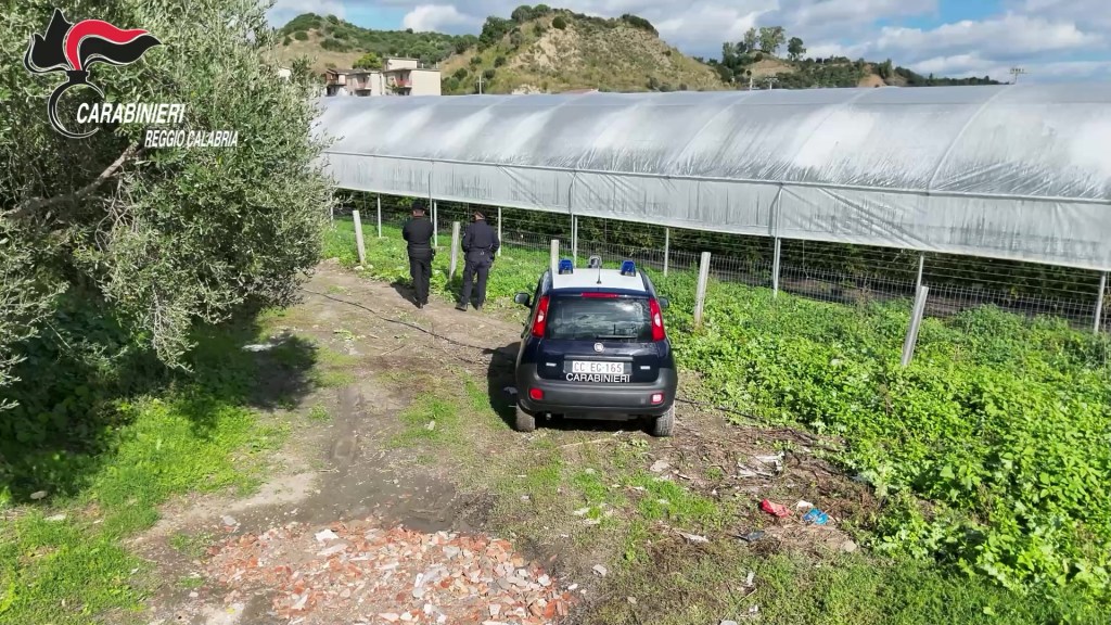 San Luca. Scoperte 35mila mq di serre abusive in area protetta, 4 persone denunciate