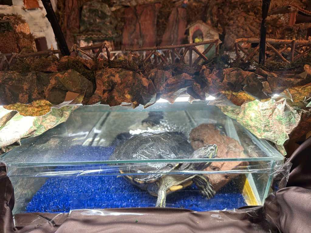 presepe meccanizzato 