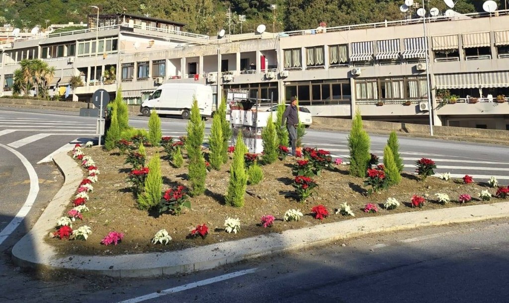 Stelle di Natale e cipressi negli svincoli