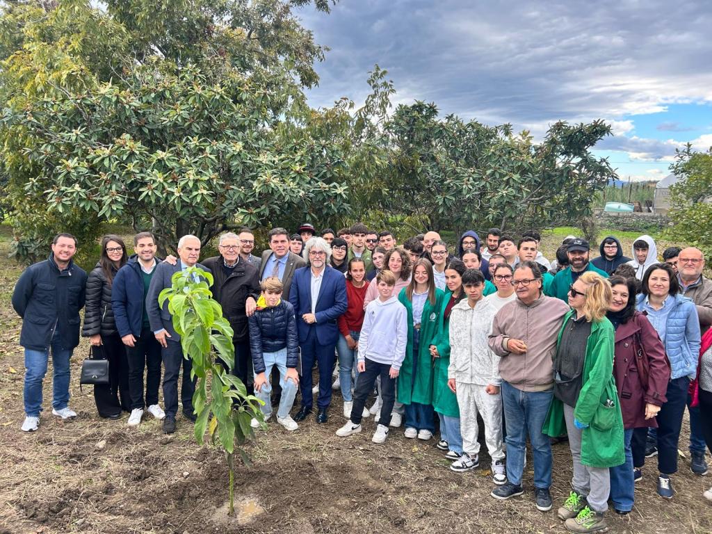 messina, scuole alla festa dell'albero