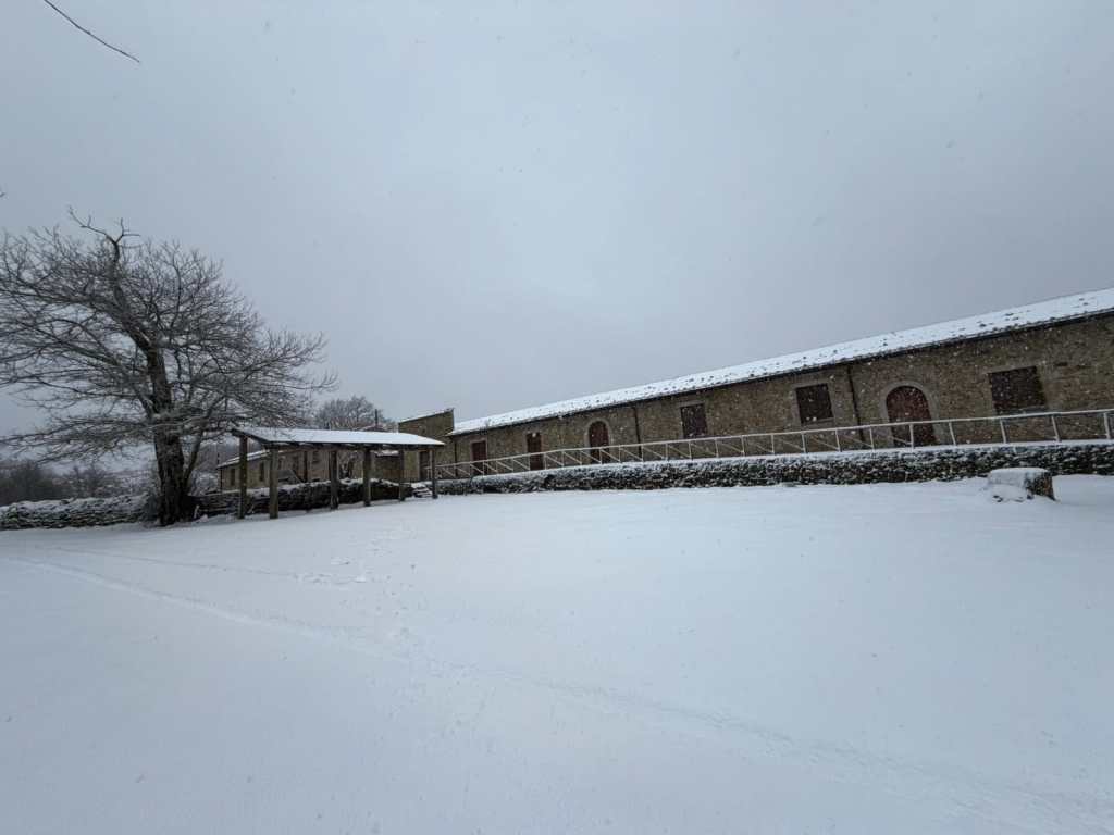 La neve a Longi, nel bosco di Mangalaviti, foto di Valerio Cammareri