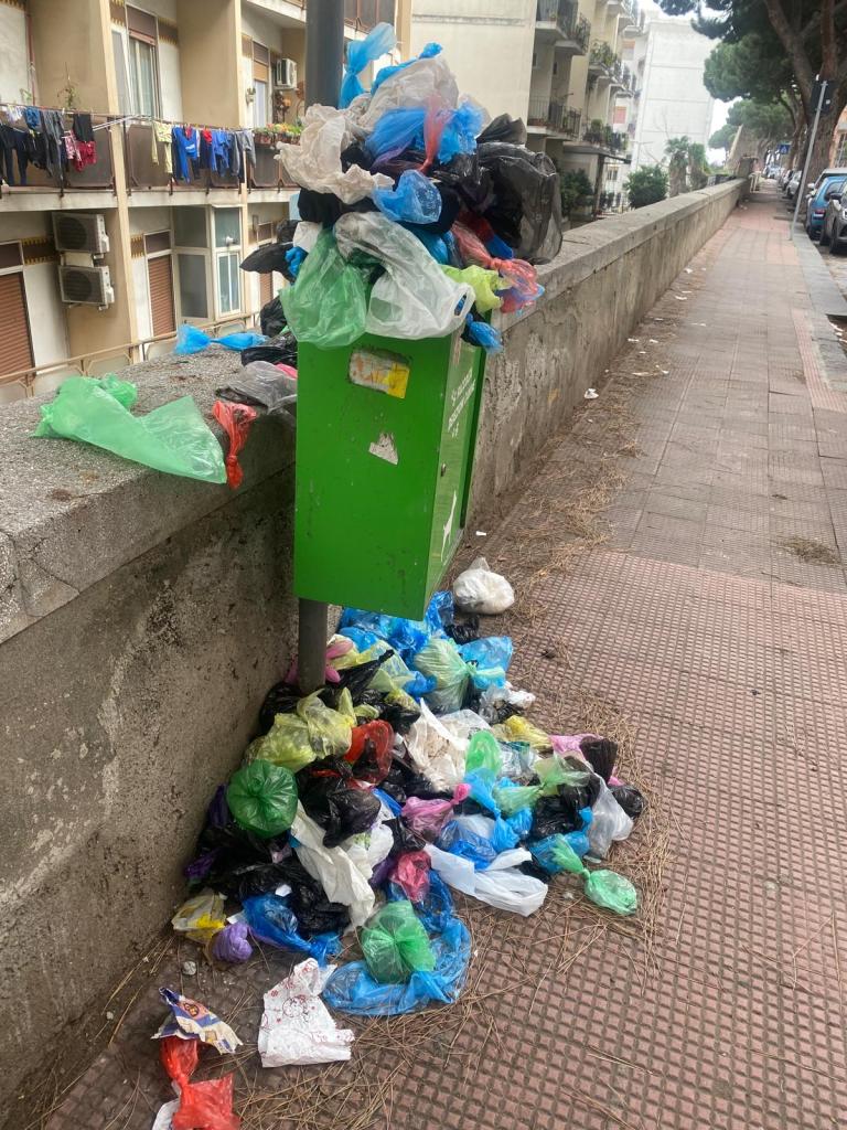 Cassetta deiezioni canine stracolmo