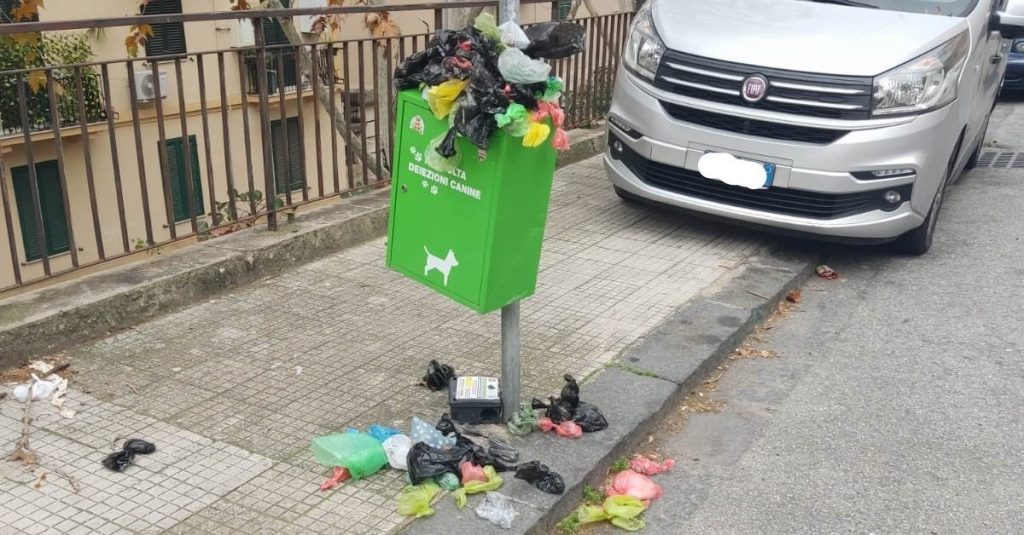 Cassetta deiezioni canine stracolmo