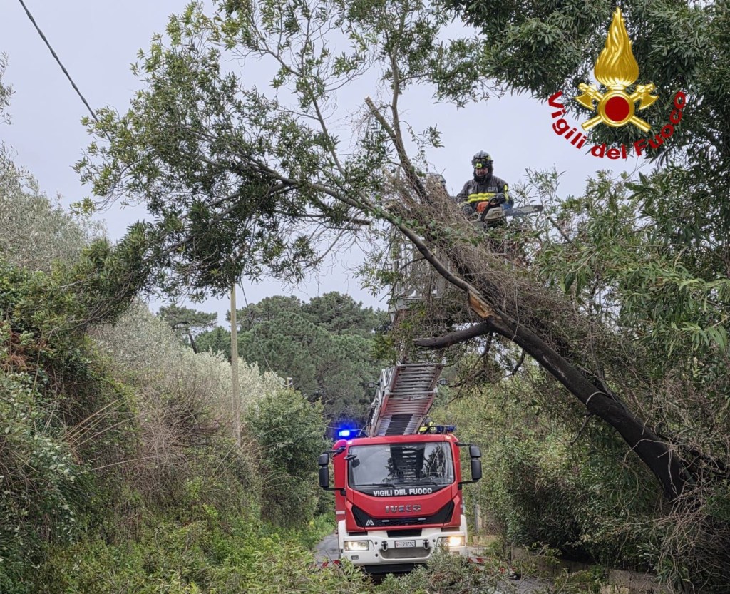 Interventi Vigili del fuoco a Messina