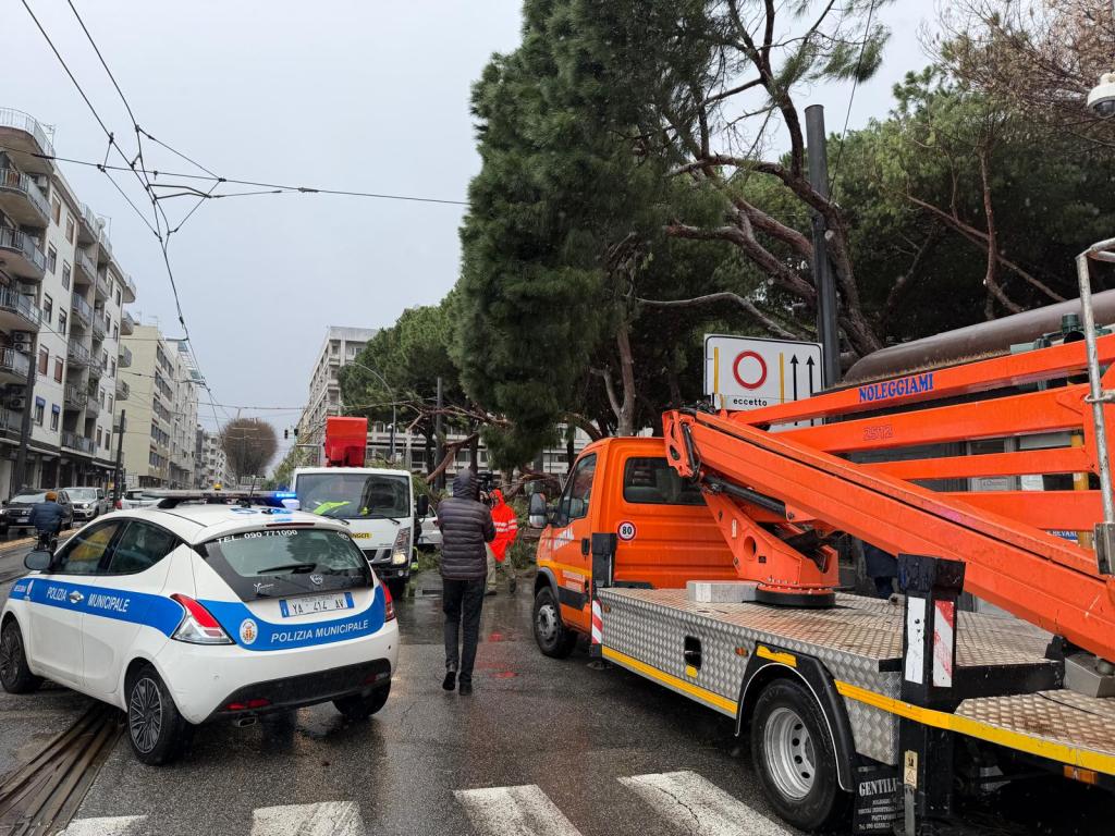 alberi crollati villetta quasimodo