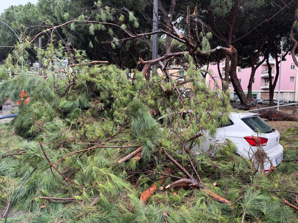 alberi crollati villetta quasimodo