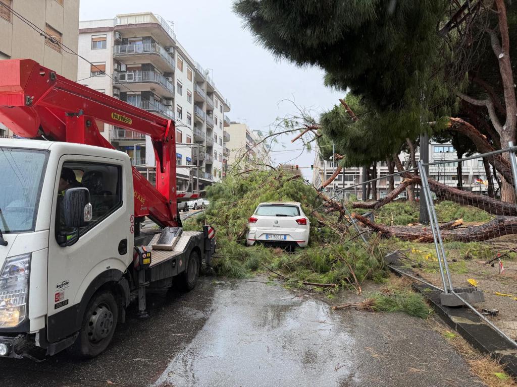 alberi crollati villetta quasimodo
