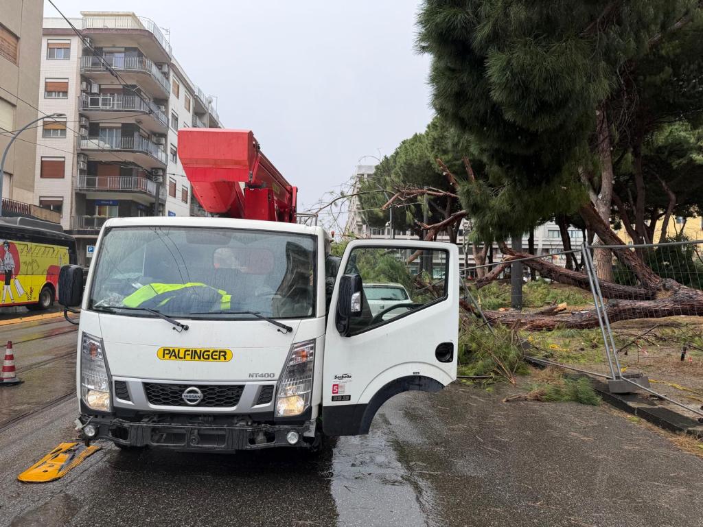 alberi crollati villetta quasimodo