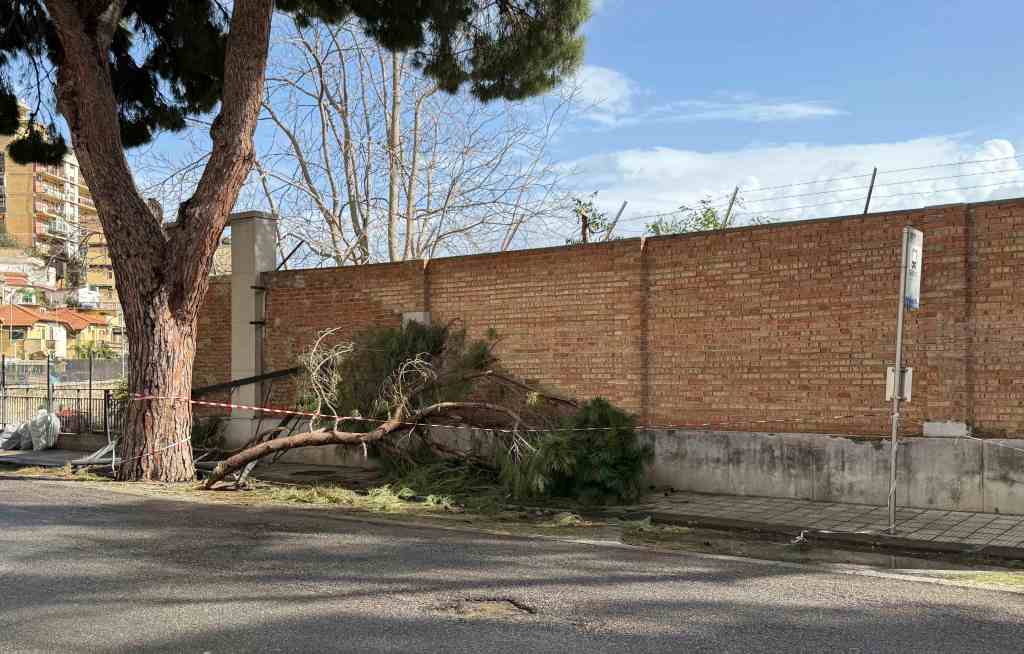viale Italia crollo ramo 