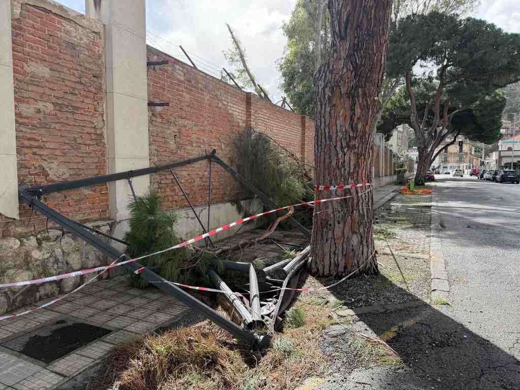 viale Italia crollo ramo 