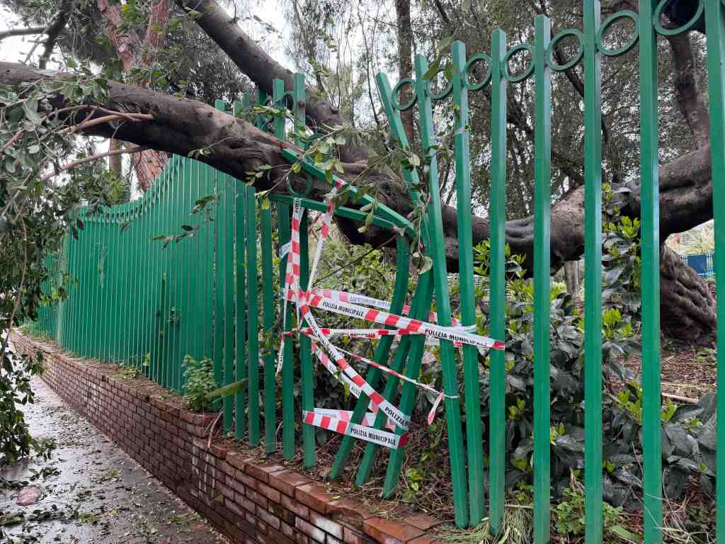 villa dante crolla albero 