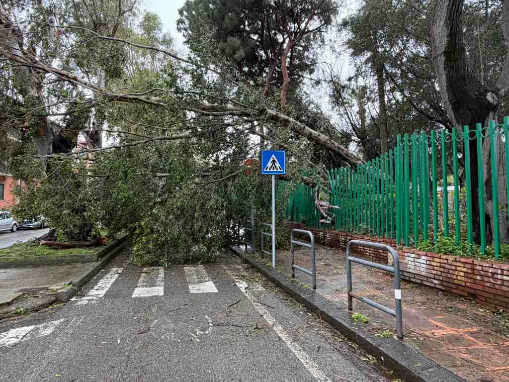 villa dante crolla albero 