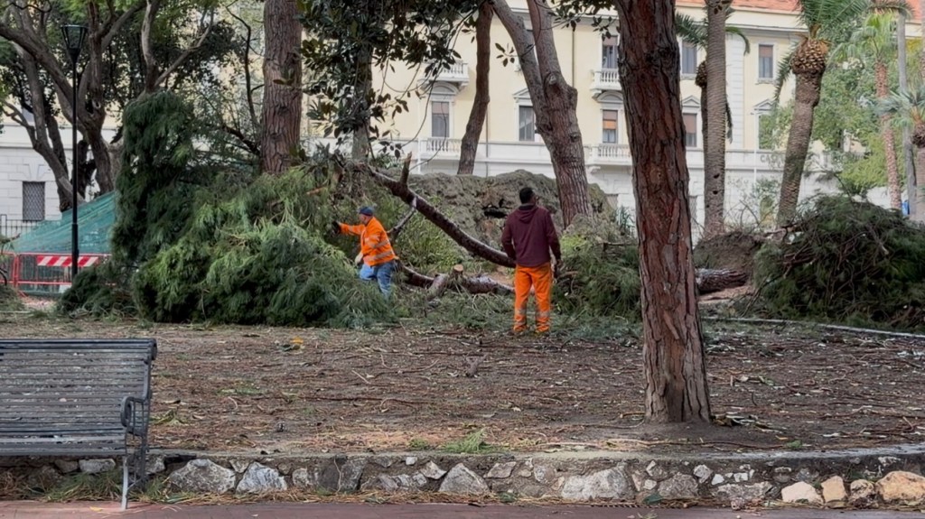 Villa Mazzini alberi crollati