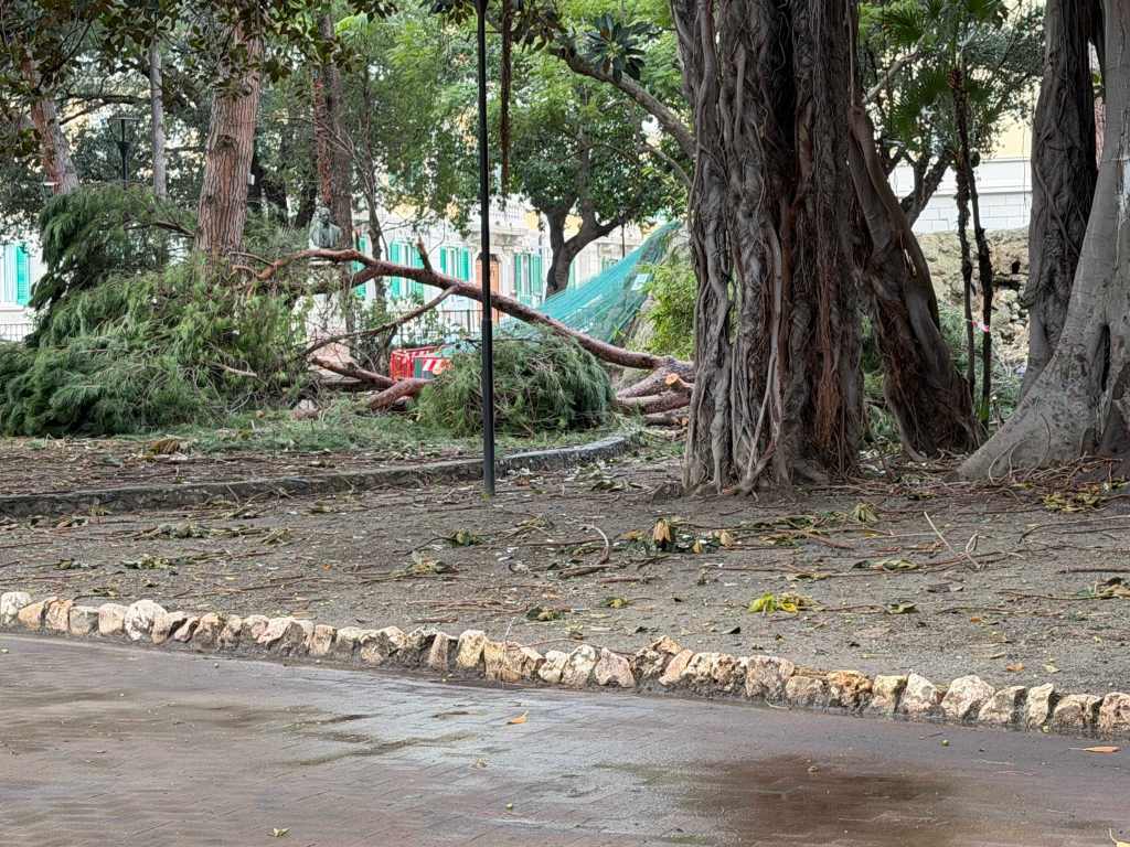 Villa Mazzini alberi crollati