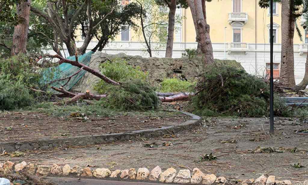 Villa Mazzini alberi crollati