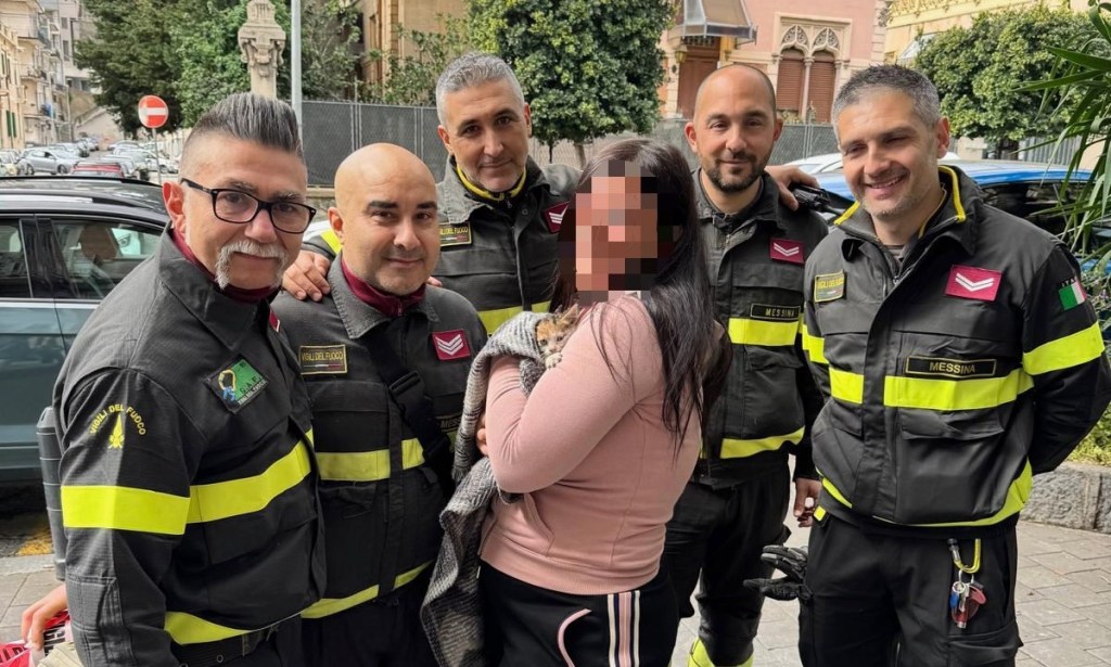 Salvataggio Vdf gattino
