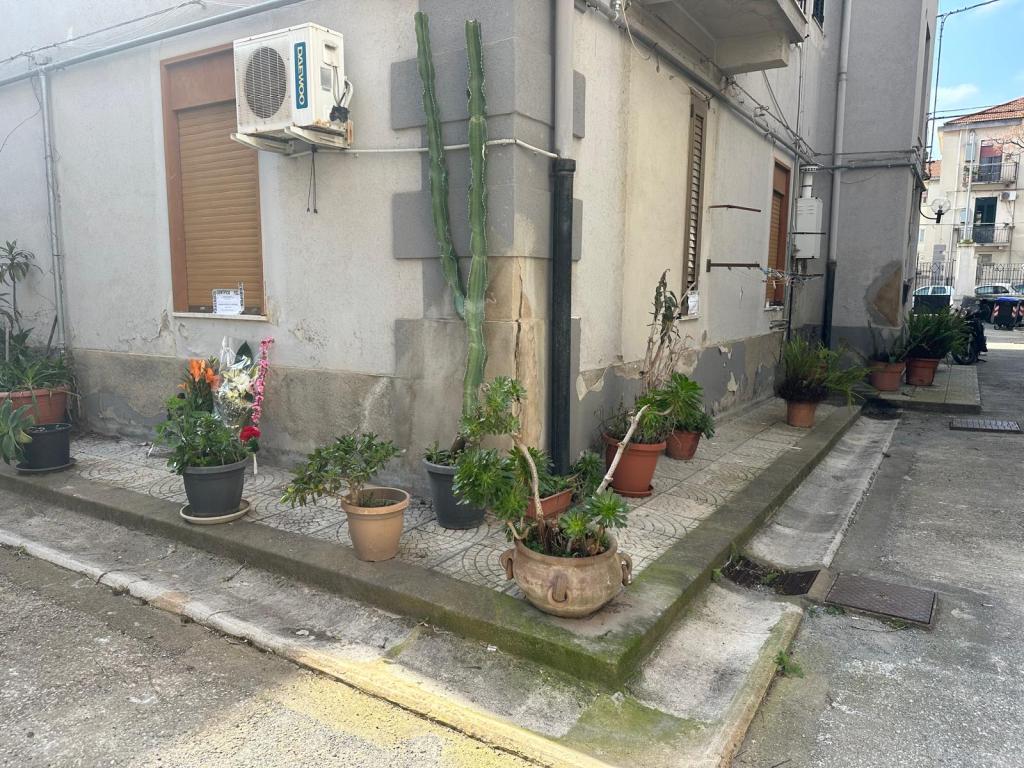 femminicidio in via lombardia