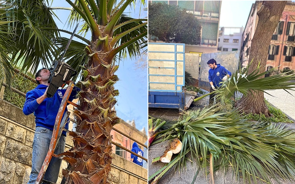 puliamo messina abside duomo