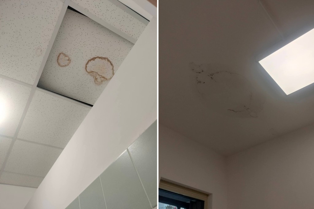 scuola castronovo bordonaro