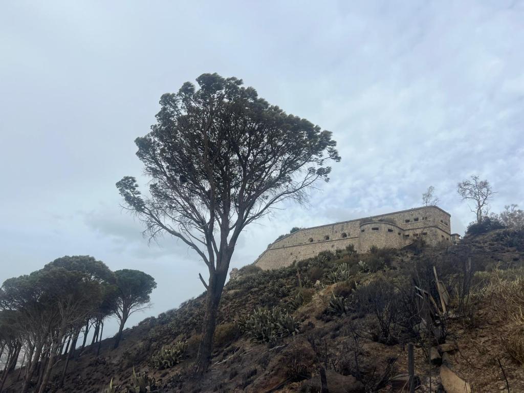 Incendio a Salice aprile 2026