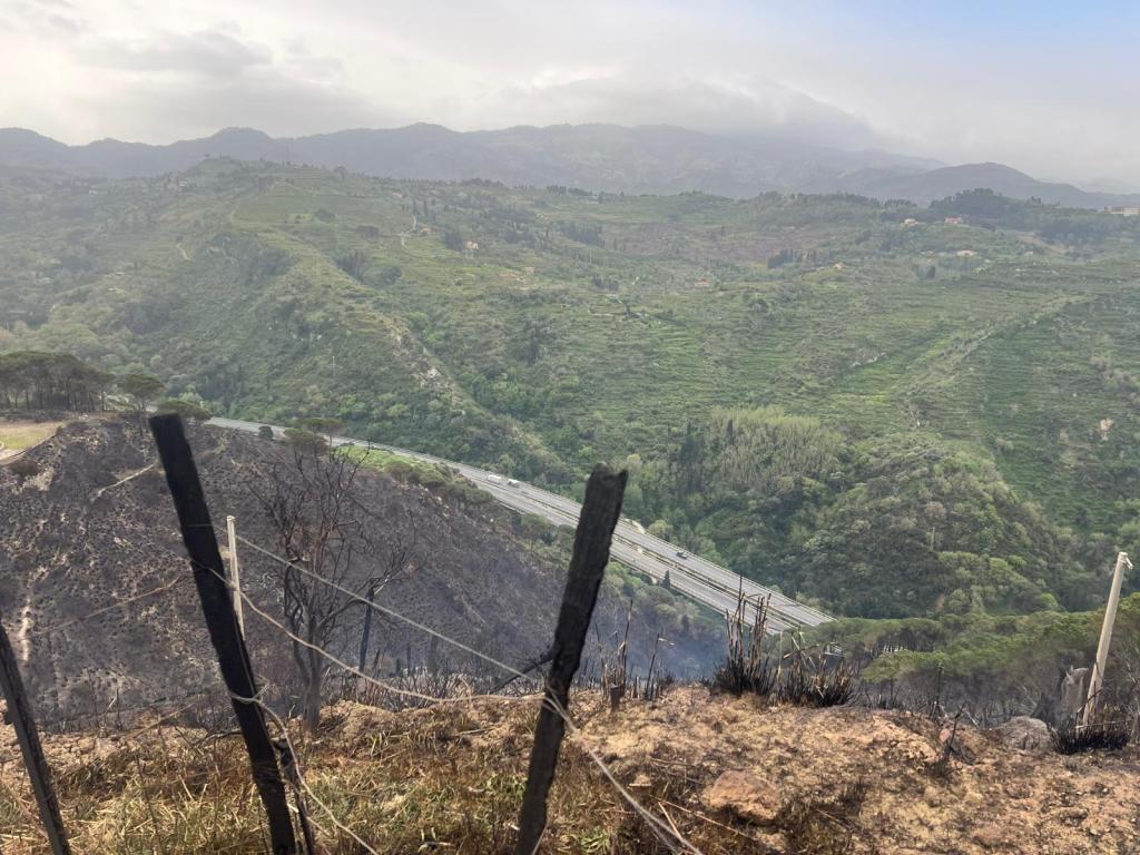 Incendio a Salice aprile 2026