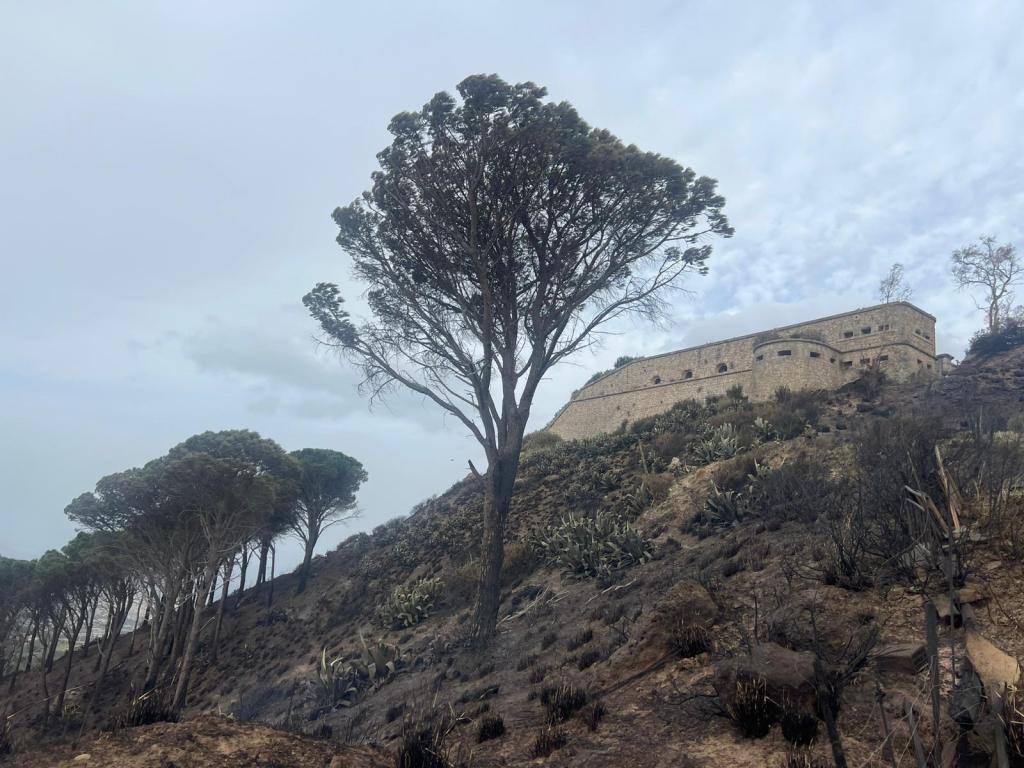 Incendio a Salice aprile 2026