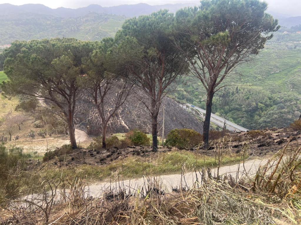 Incendio a Salice aprile 2026