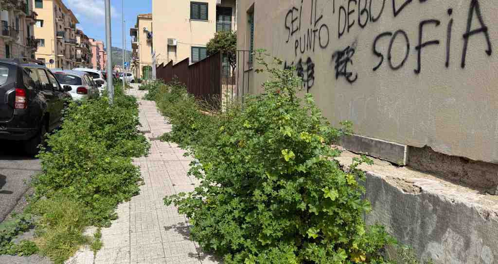 foresta urbana via Canova 