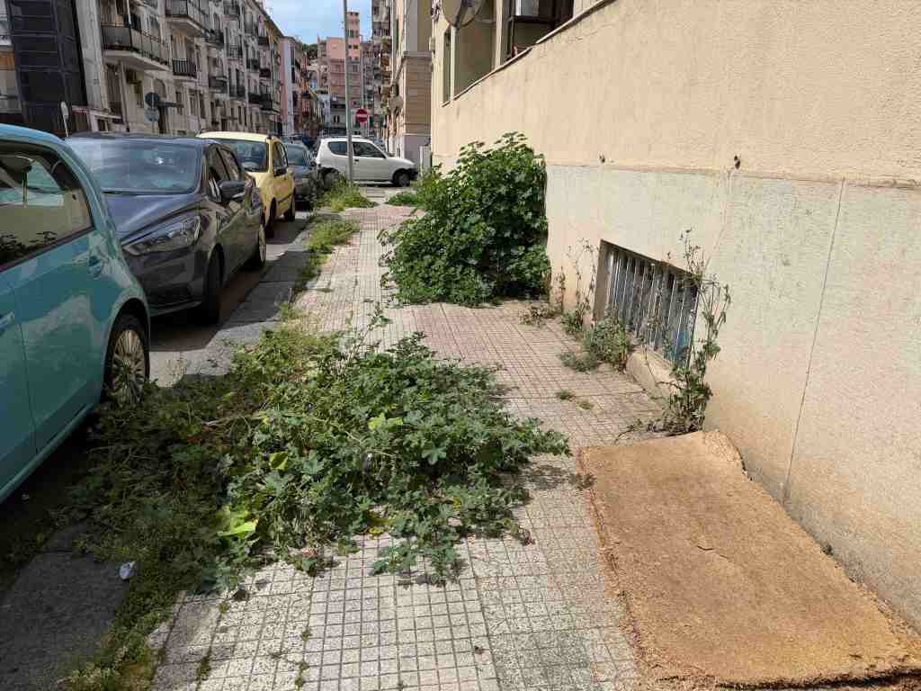 foresta urbana via Canova 