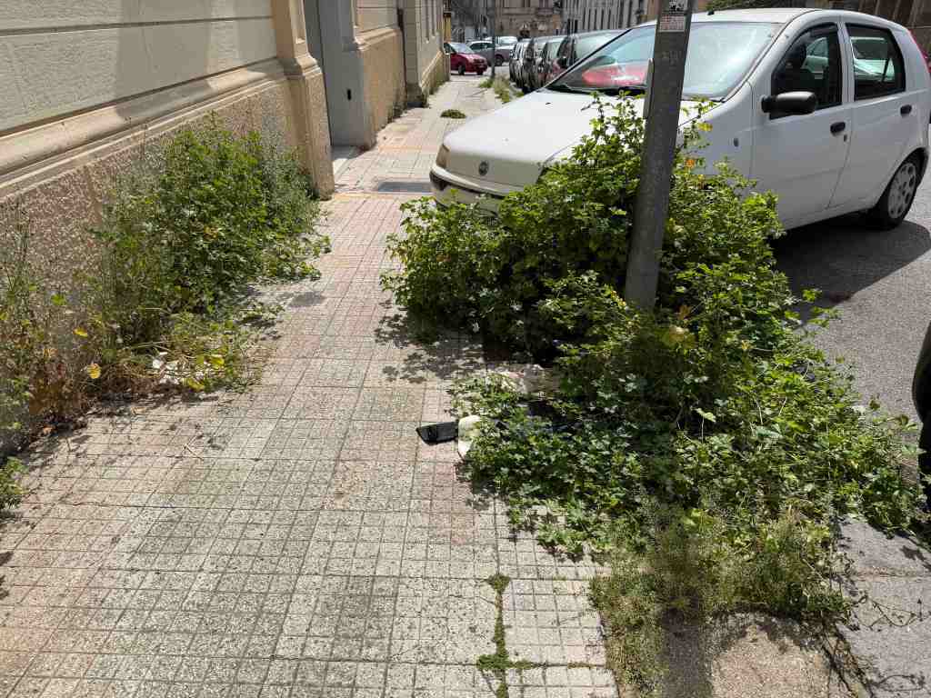 foresta urbana via Canova 