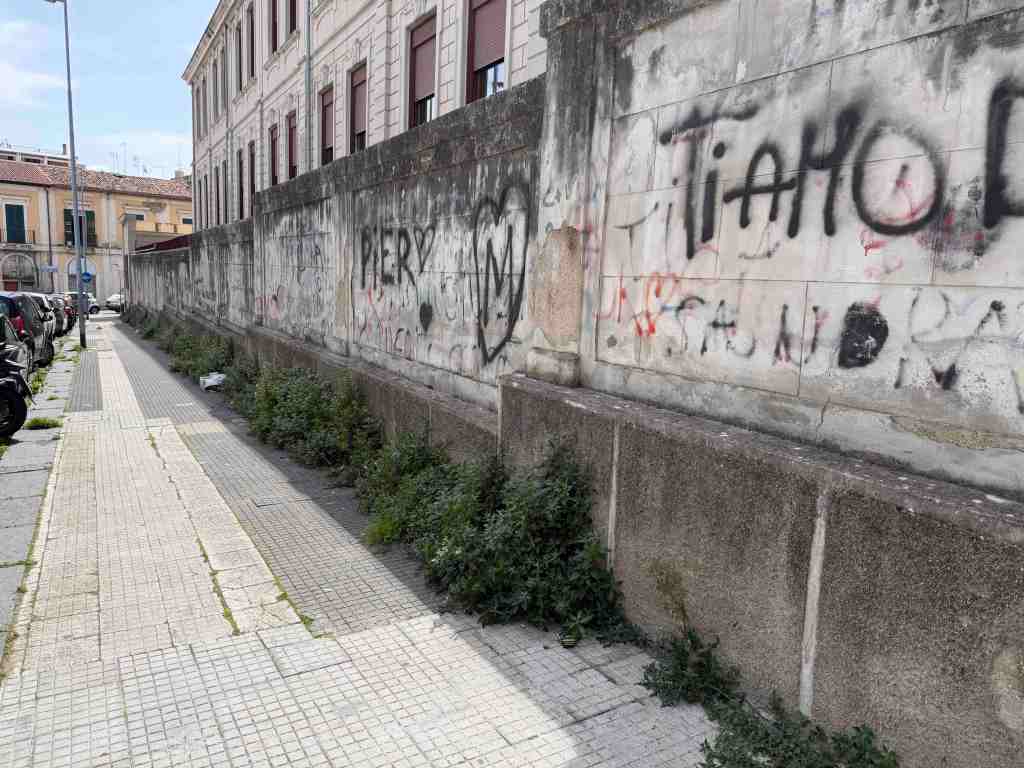 foresta urbana via Canova 