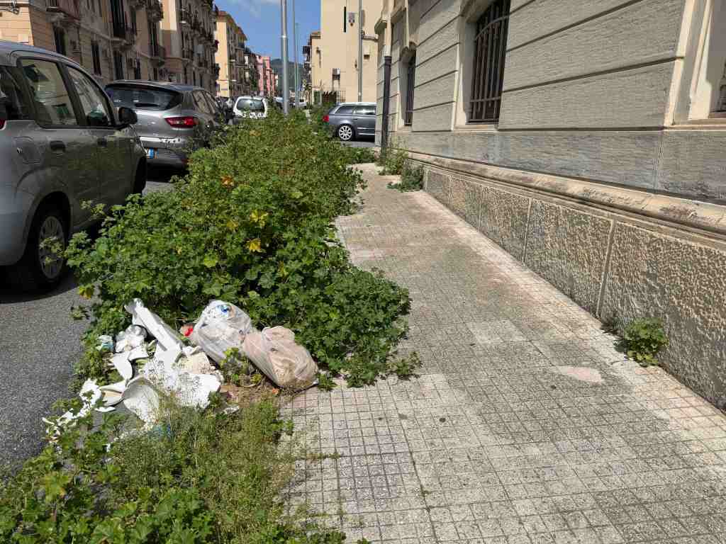 foresta urbana via Canova 