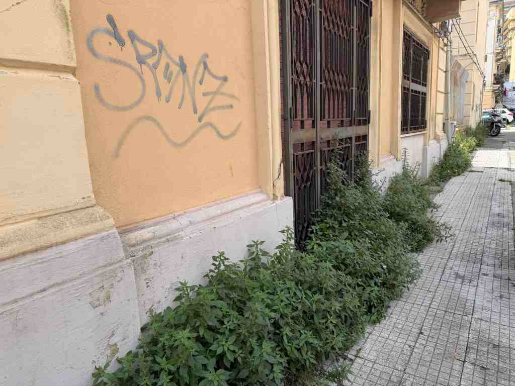 foresta urbana via Canova 