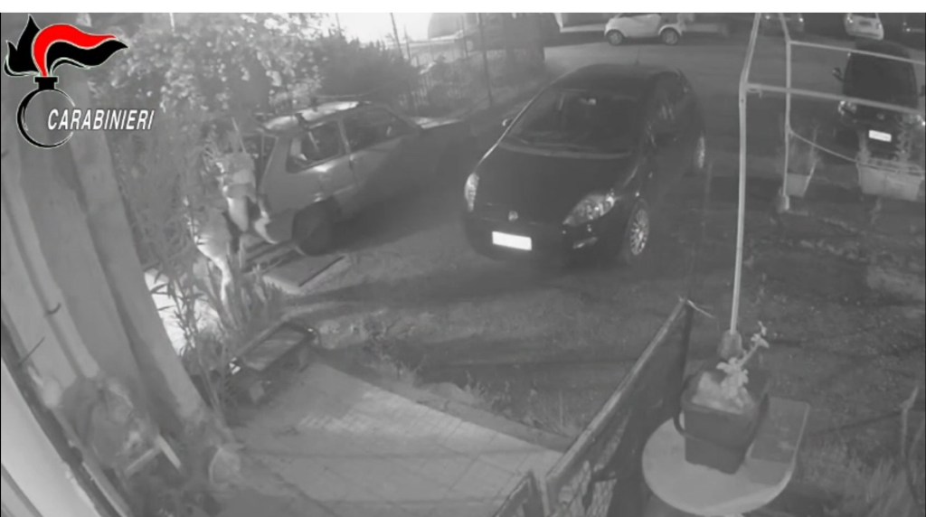 omicidio trappitello