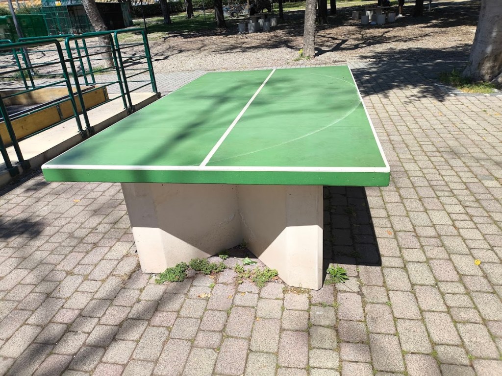 tavolo ping pong