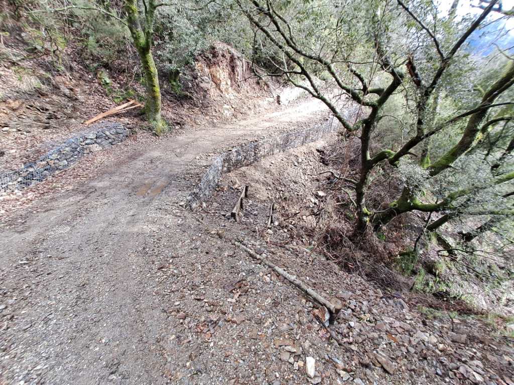 Sentiero Italia (Strada provinciale agricola n. 115) nel tratto da Piano Margi a Portella Acqua Menta