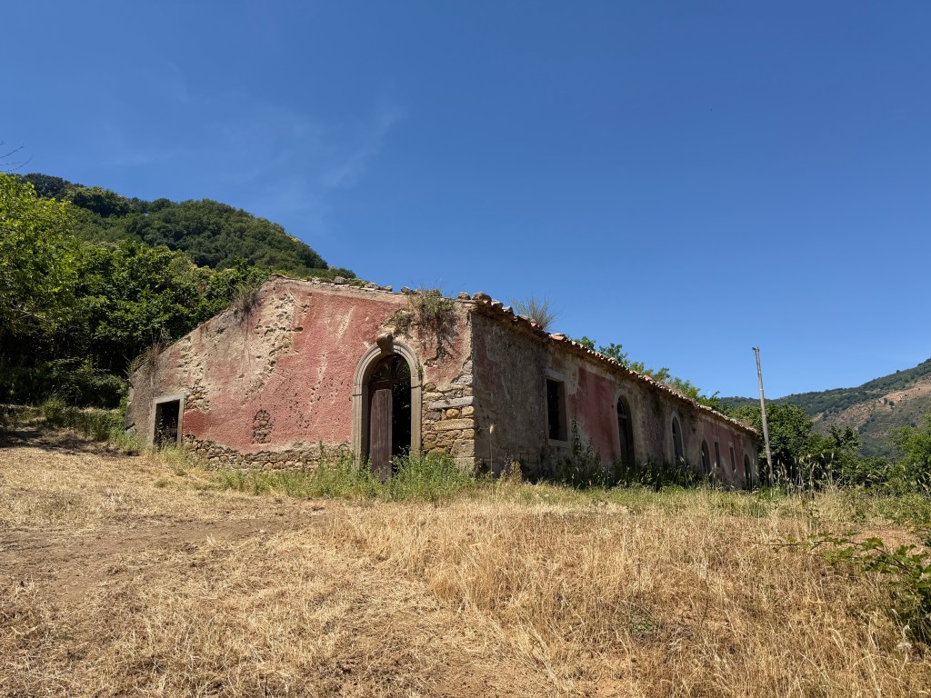 nocciole nebrodi