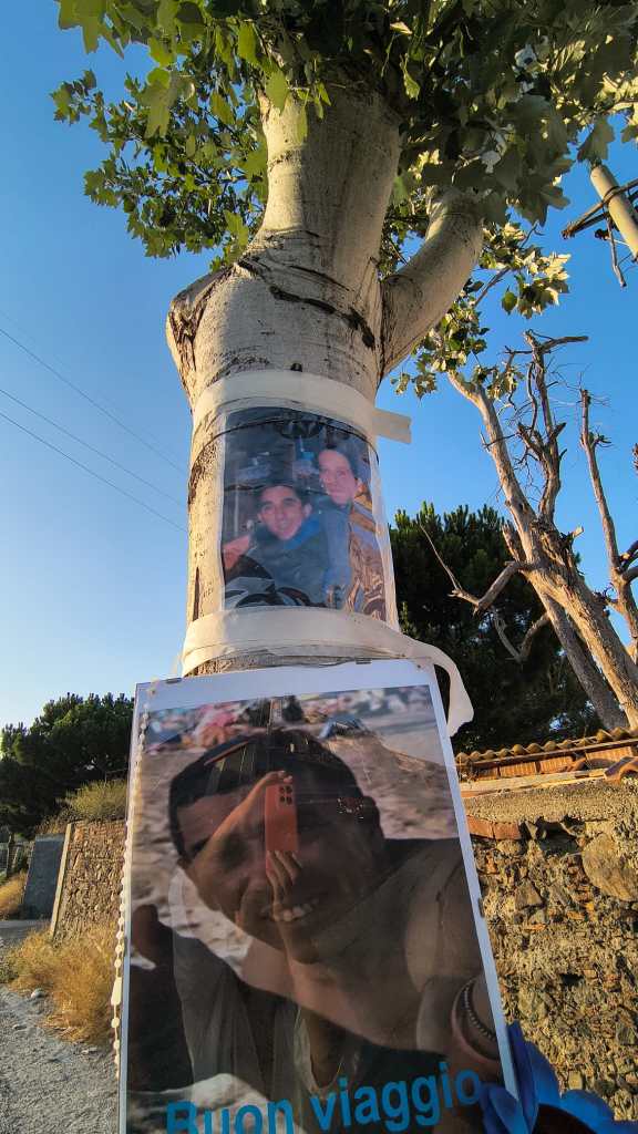 enzo miao albero