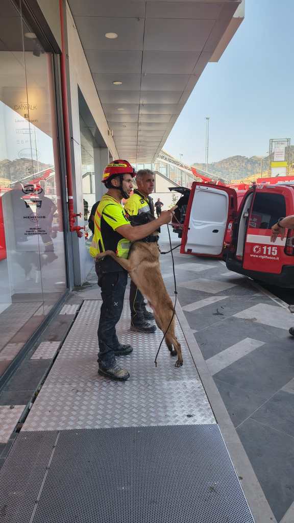 fahid unità cinofile vdf