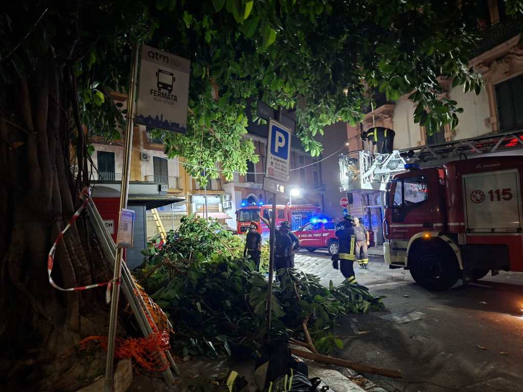 ramo di un albero crolla in piazza Padre Annibale di Francia 2